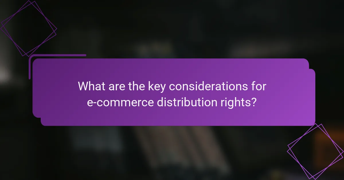 What are the key considerations for e-commerce distribution rights?